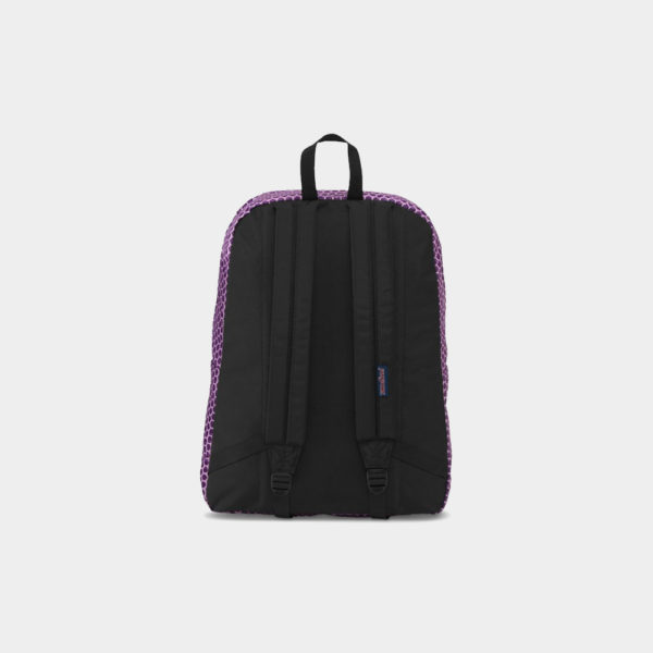 canvas3