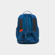 canvas4