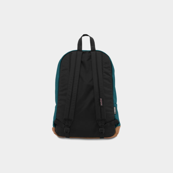 canvas4