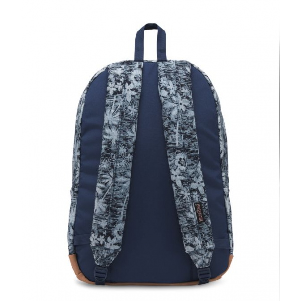 canvas15