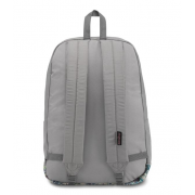 canvas22